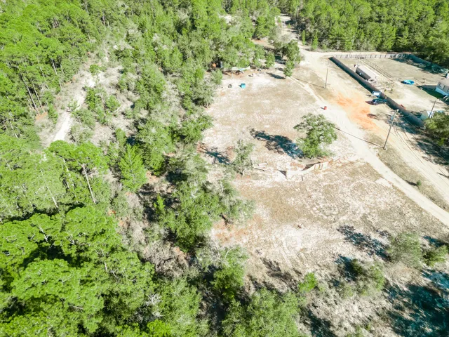 a view of a yard with a tree
