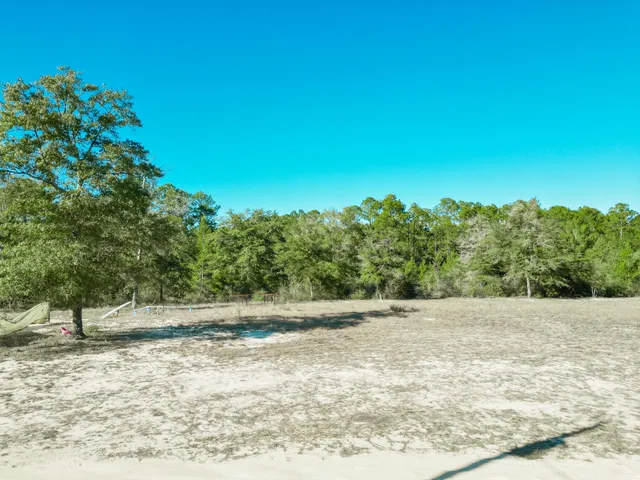 a view of a yard with a tree