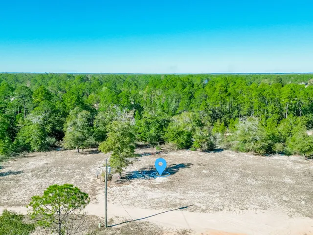 a view of a yard with an plants and trees
