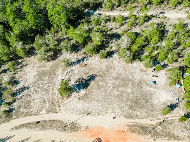 a view of a yard with plants and tree