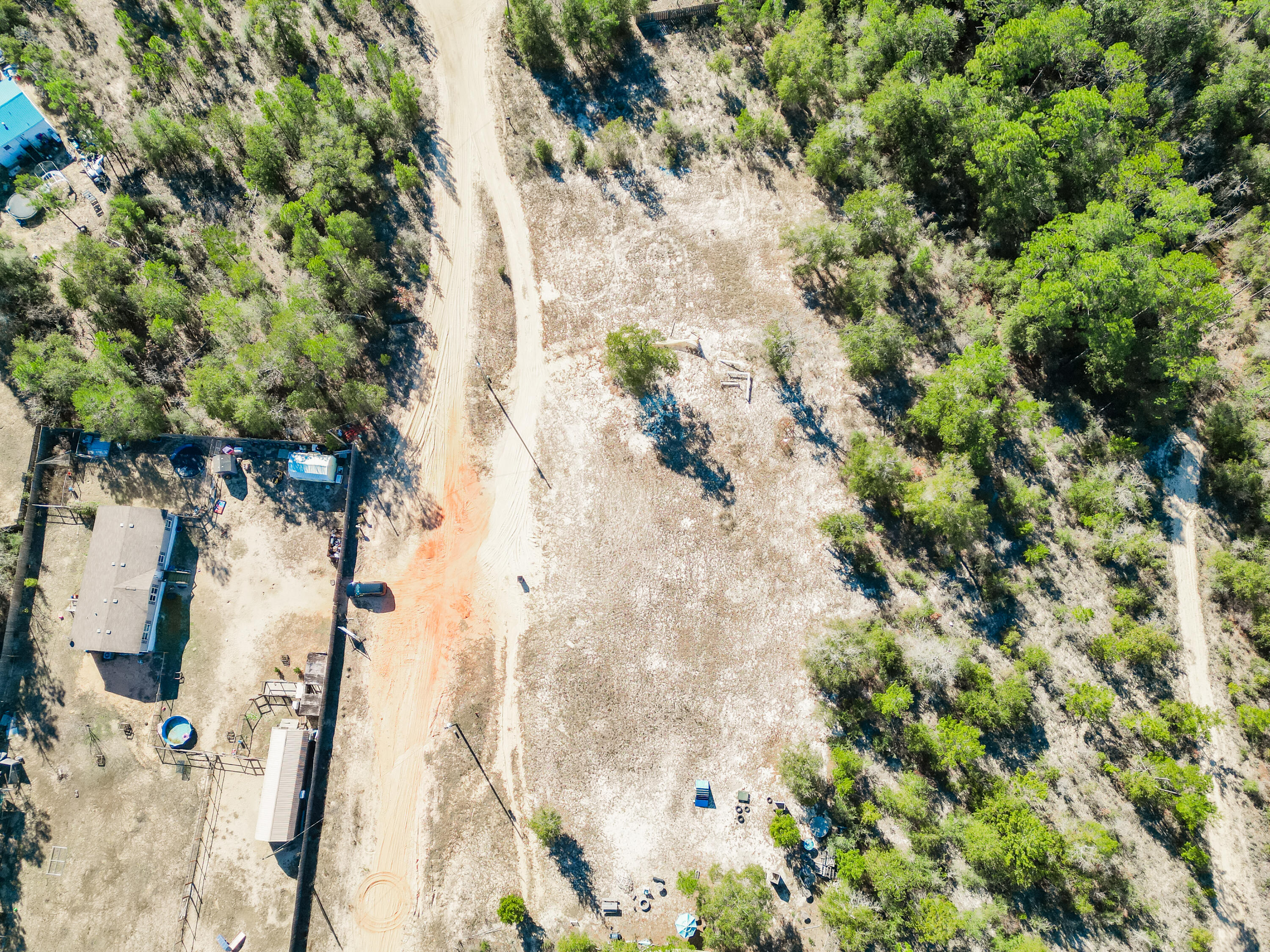 4716 Canary Way Crestview, FL 32539 - Photo 10 of 13 a picture of a plant