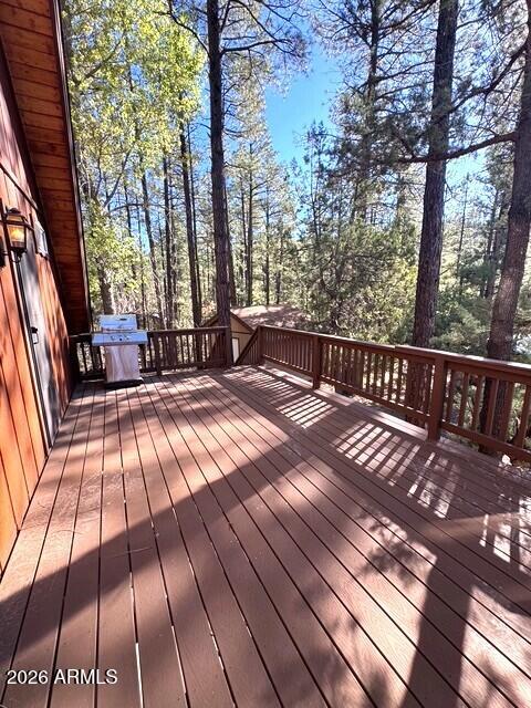 690 Tonto Rim Drive Payson, AZ 85541 - Photo 4 of 25