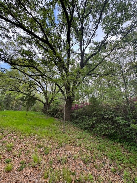 2 Lost Creek Road Natchez, MS 39120 - Photo 17 of 19 Photo 17
