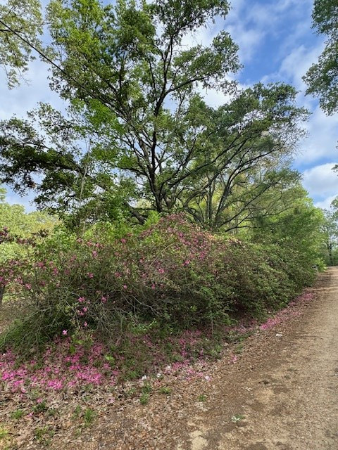 2 Lost Creek Road Natchez, MS 39120 - Photo 3 of 19 Photo 3