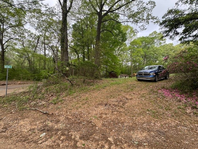 2 Lost Creek Road Natchez, MS 39120 - Photo 4 of 19 Photo 4