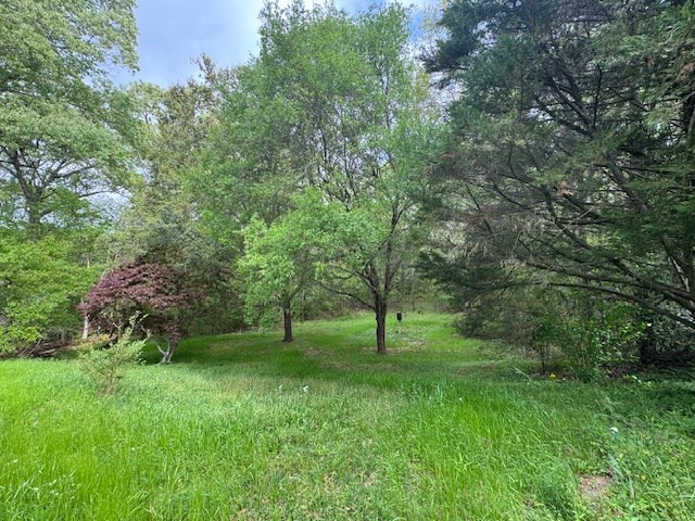 2 Lost Creek Road Natchez, MS 39120 - Photo 7 of 19 Photo 7