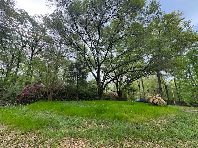2 Lost Creek Road Natchez, MS 39120 - Photo 8 of 19 Photo 8