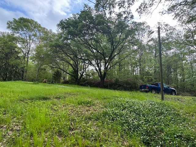 2 Lost Creek Road Natchez, MS 39120 - Photo 9 of 19 Photo 9