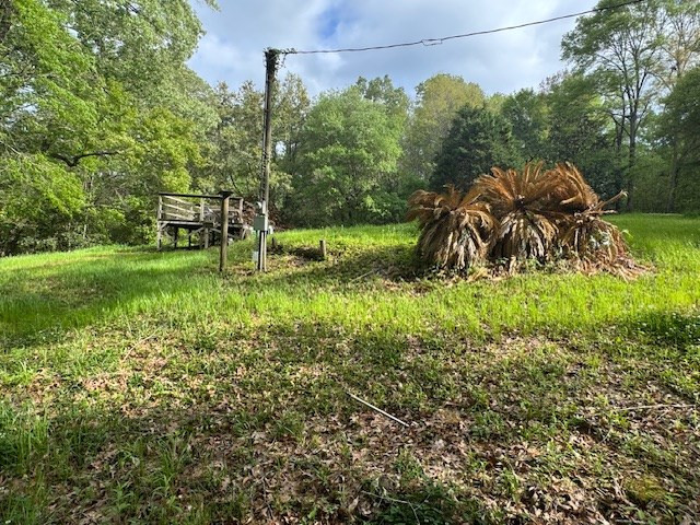 2 Lost Creek Road Natchez, MS 39120 - Photo 10 of 19 Photo 10