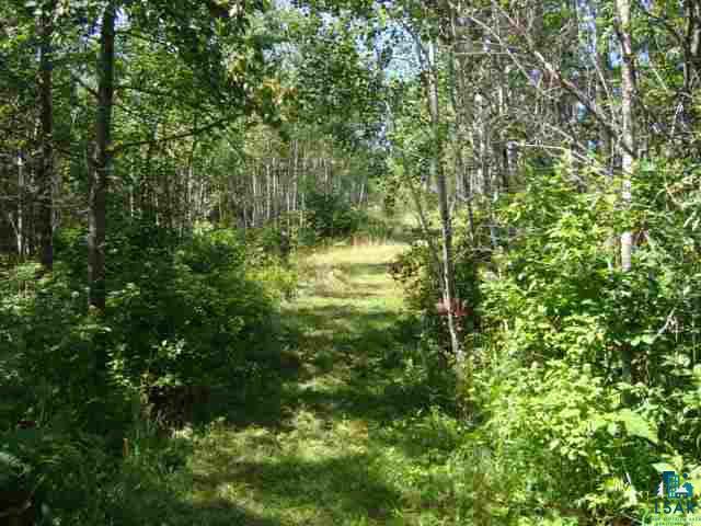 40-acres Off Forest Road South Range, WI 54874 - Photo 2 of 7 Gallery Image 2
