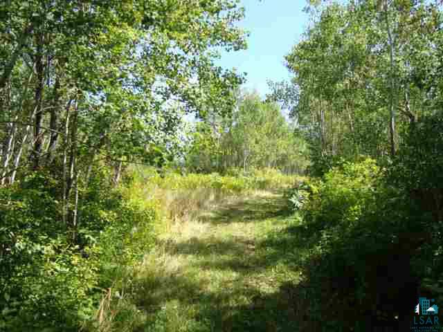 40-acres Off Forest Road South Range, WI 54874 - Photo 3 of 7 Gallery Image 3