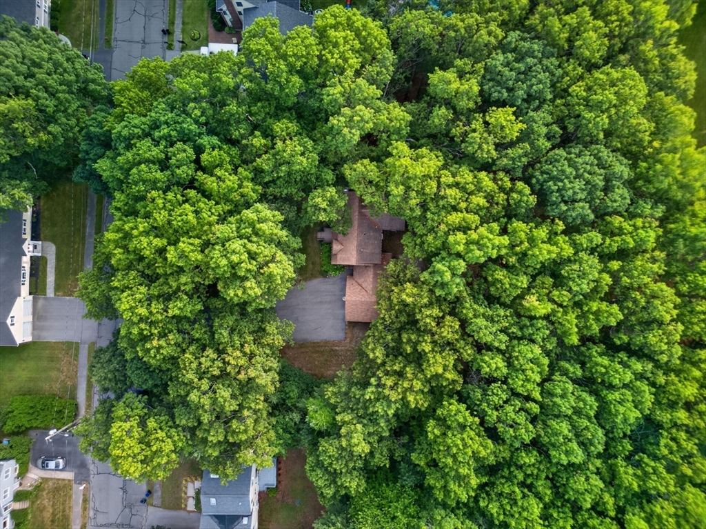 9 Spruce Road North Reading, MA 01864 - Photo 24 of 26