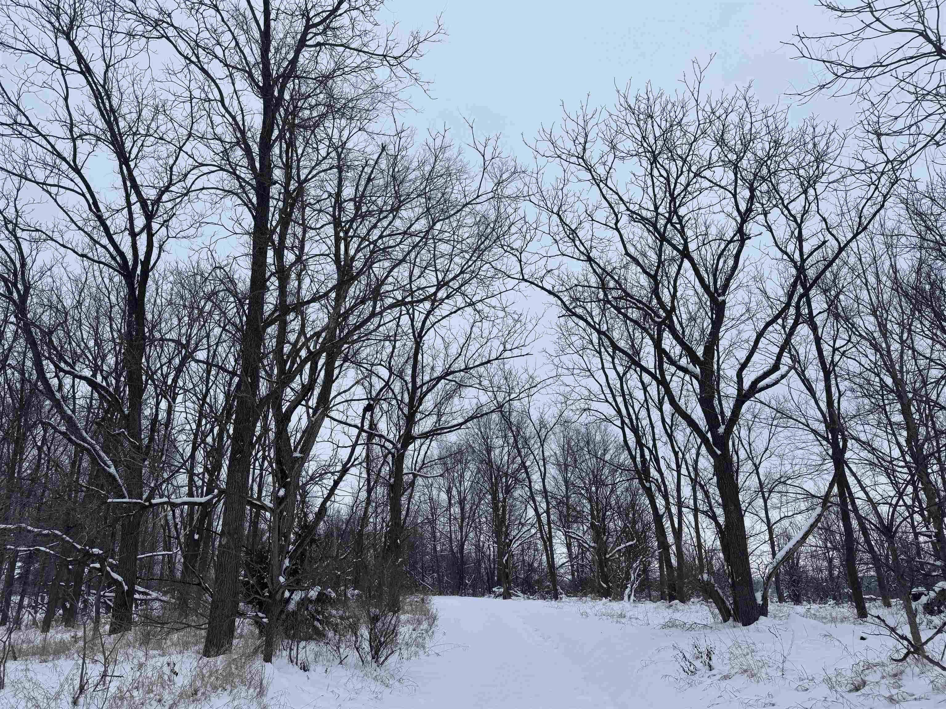 6644 Highway 81 Beloit, WI 53511 - Photo 25 of 50