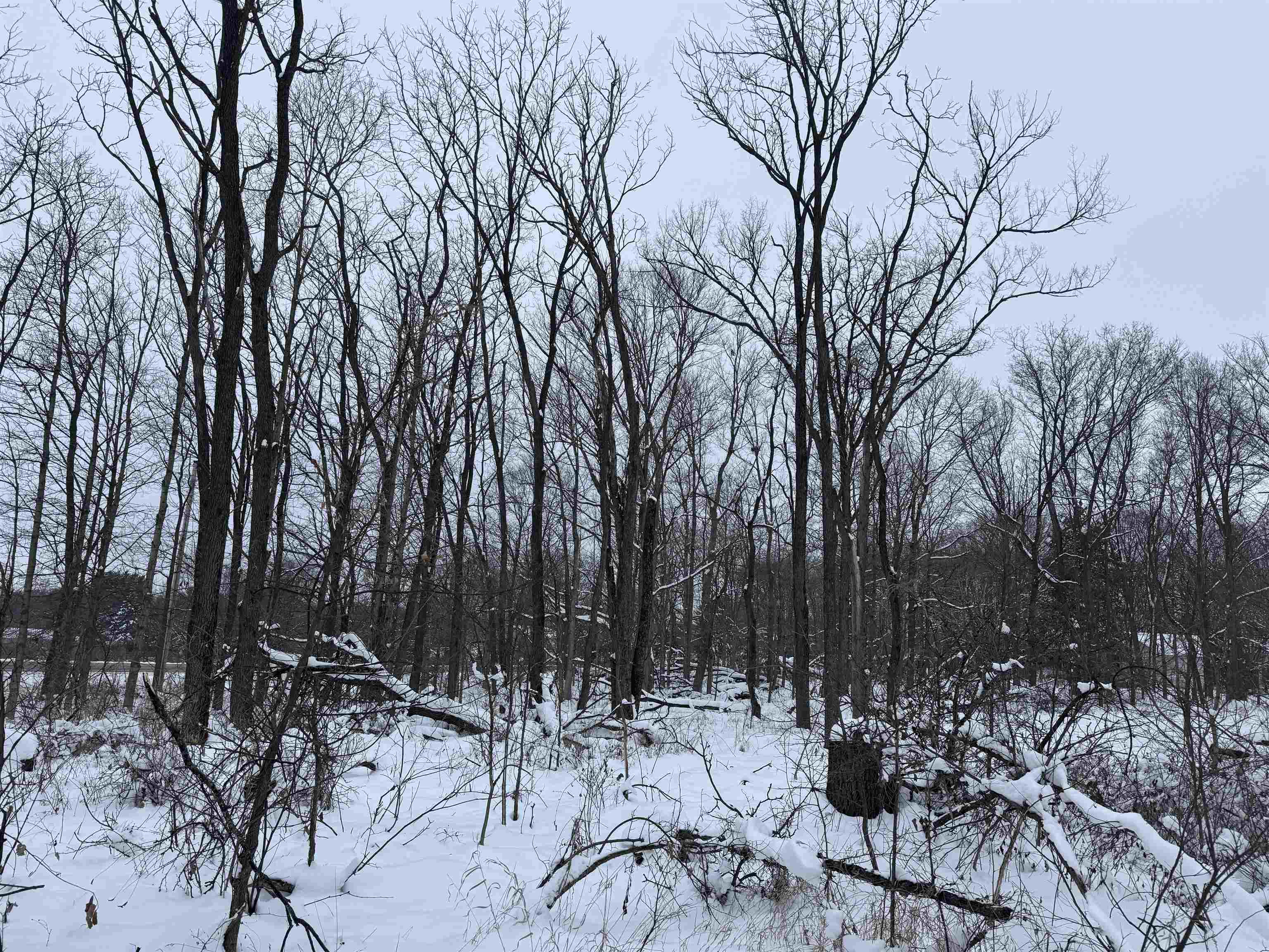 6644 Highway 81 Beloit, WI 53511 - Photo 30 of 50