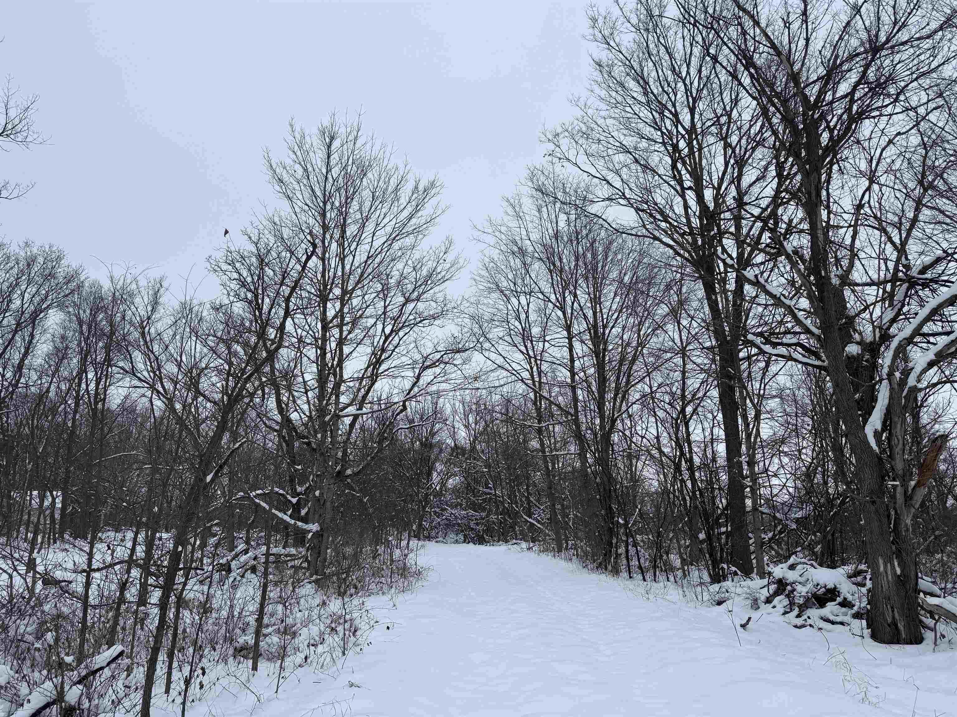 6644 Highway 81 Beloit, WI 53511 - Photo 31 of 50