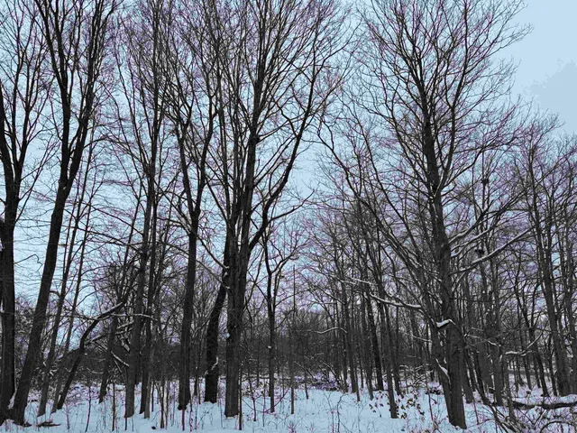 $295,000 | 6644 Highway 81, Beloit, WI 53511