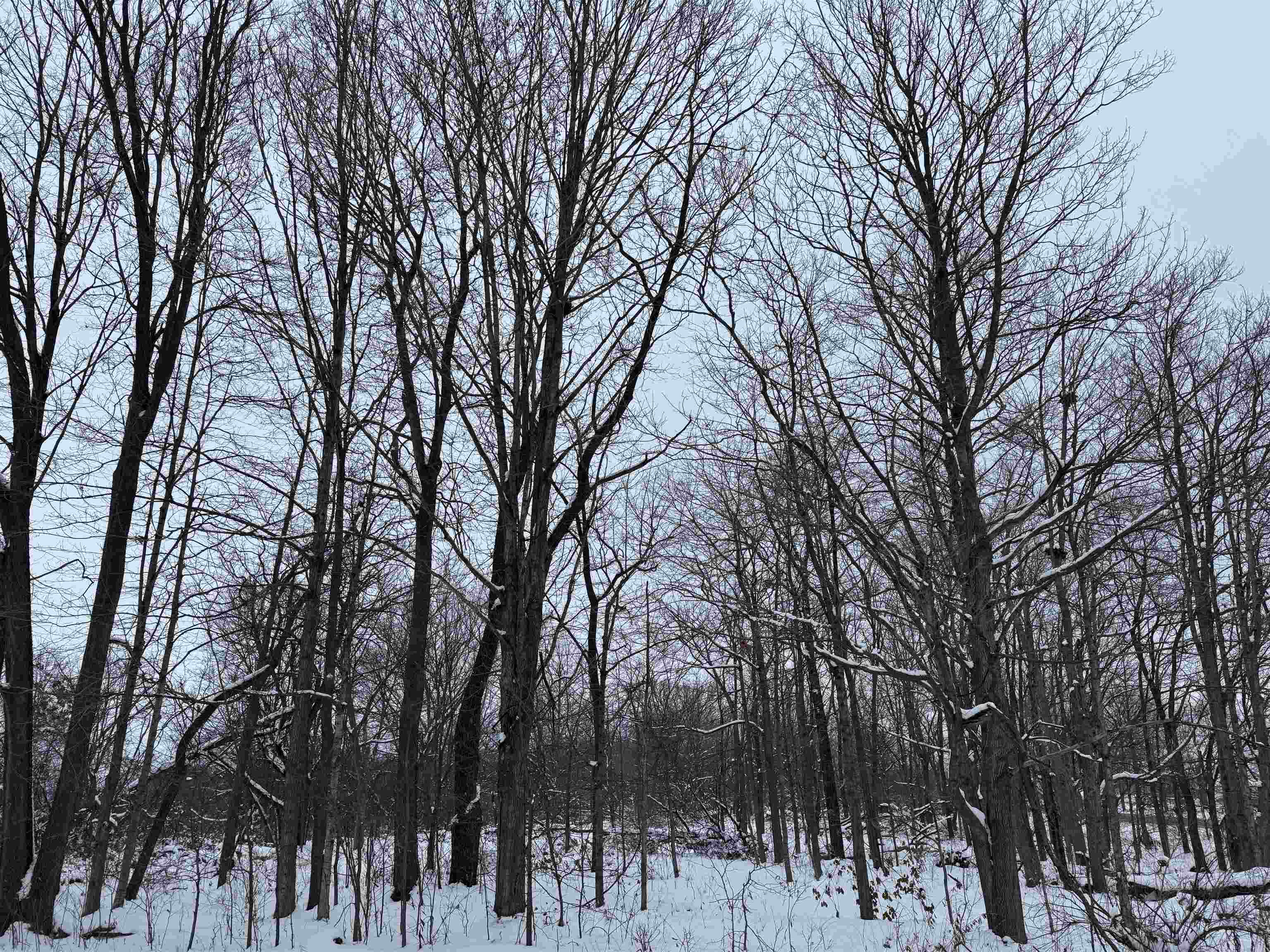 6644 Highway 81 Beloit, WI 53511 - Photo 32 of 50