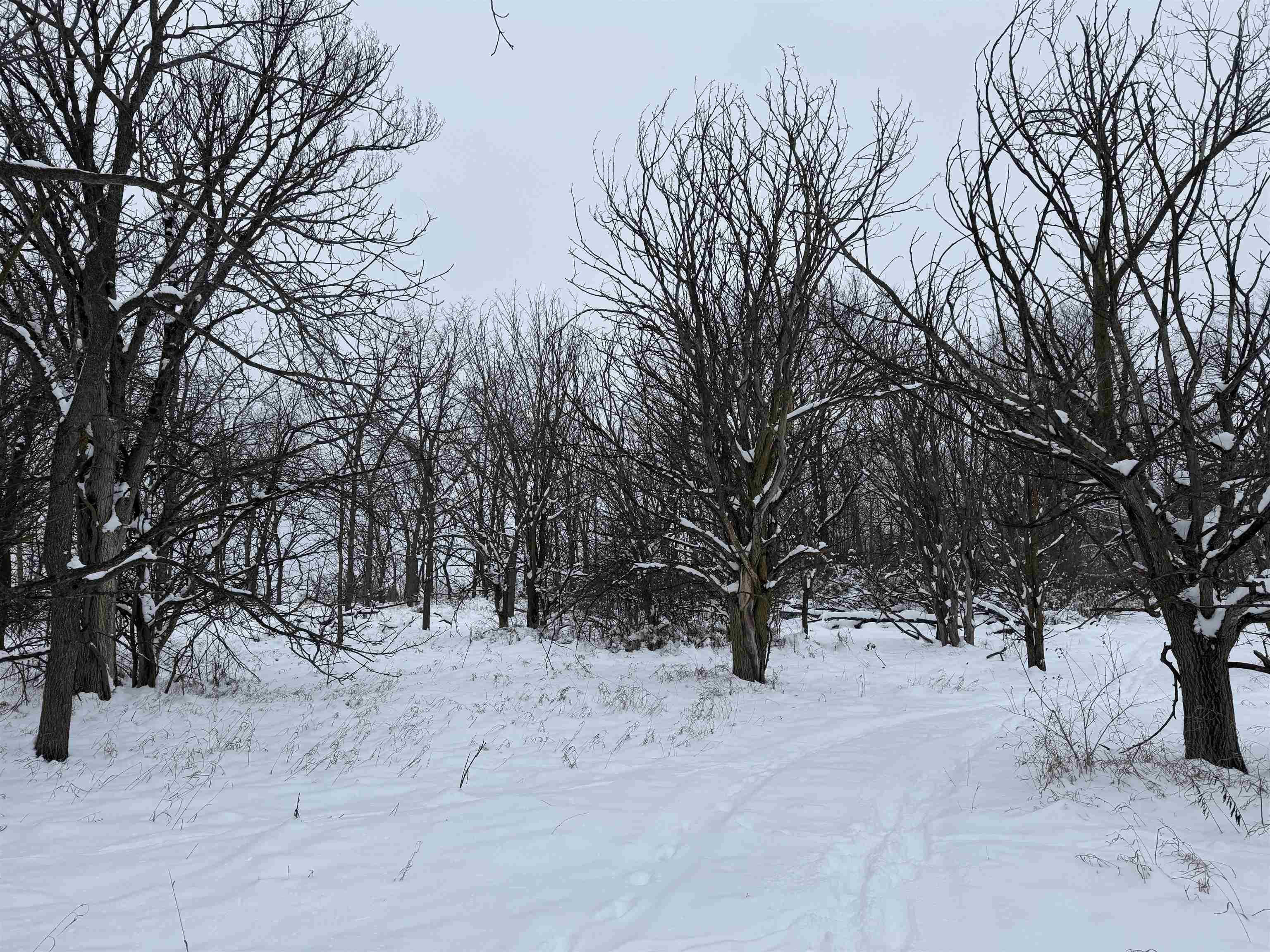 6644 Highway 81 Beloit, WI 53511 - Photo 34 of 50