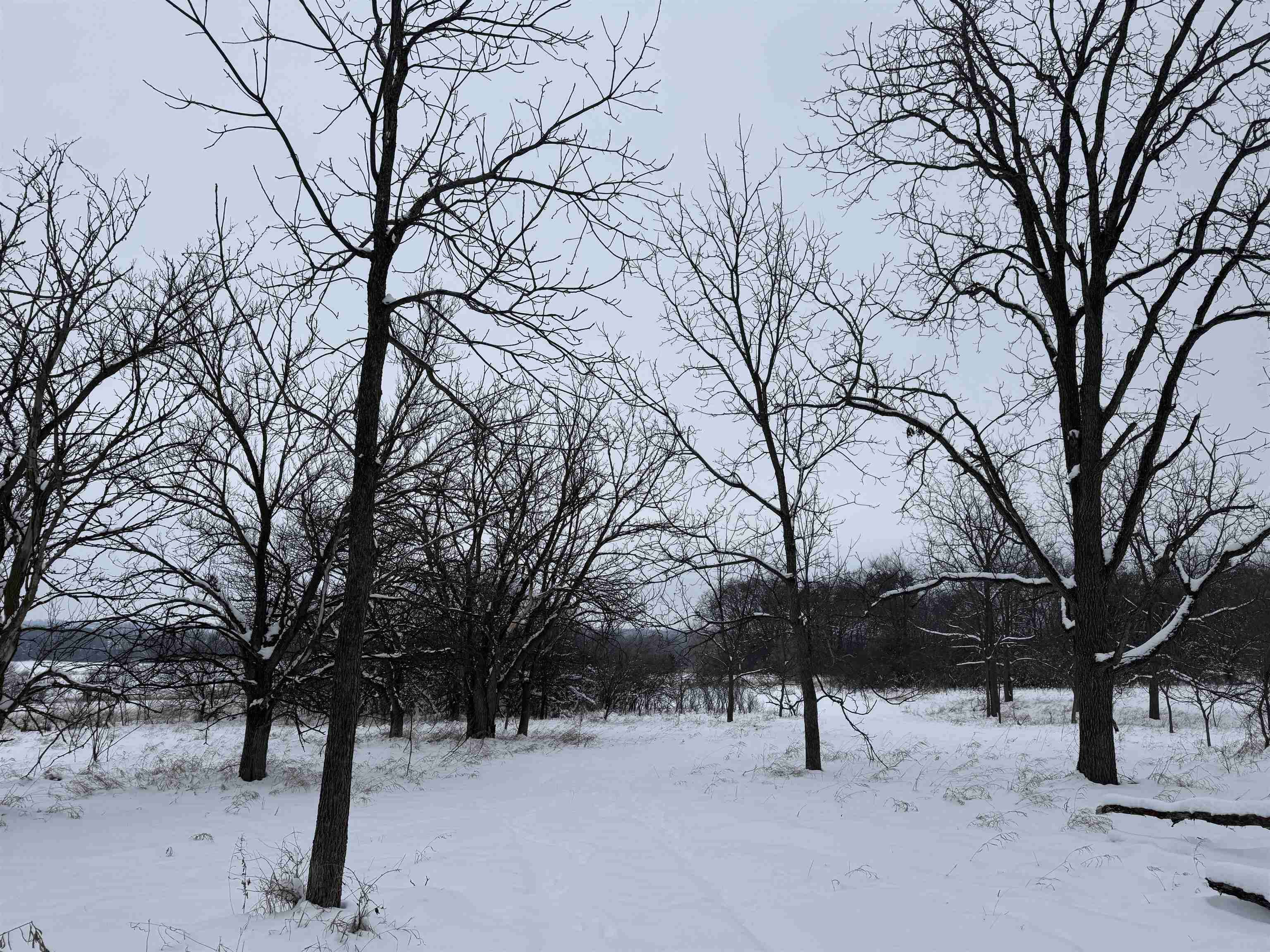 6644 Highway 81 Beloit, WI 53511 - Photo 36 of 50