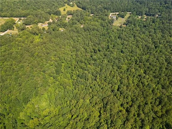 a view of a bunch of trees and bushes