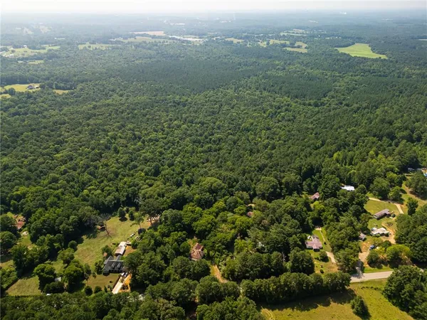 a view of a city with lush green forest