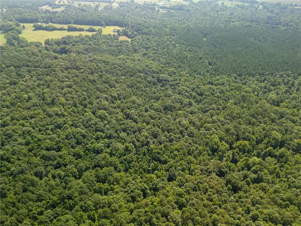 a view of a yard of a house