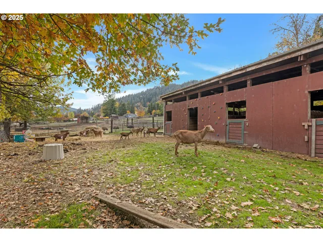 $625,000 | 624 Willis Creek Road, Winston, OR 97496