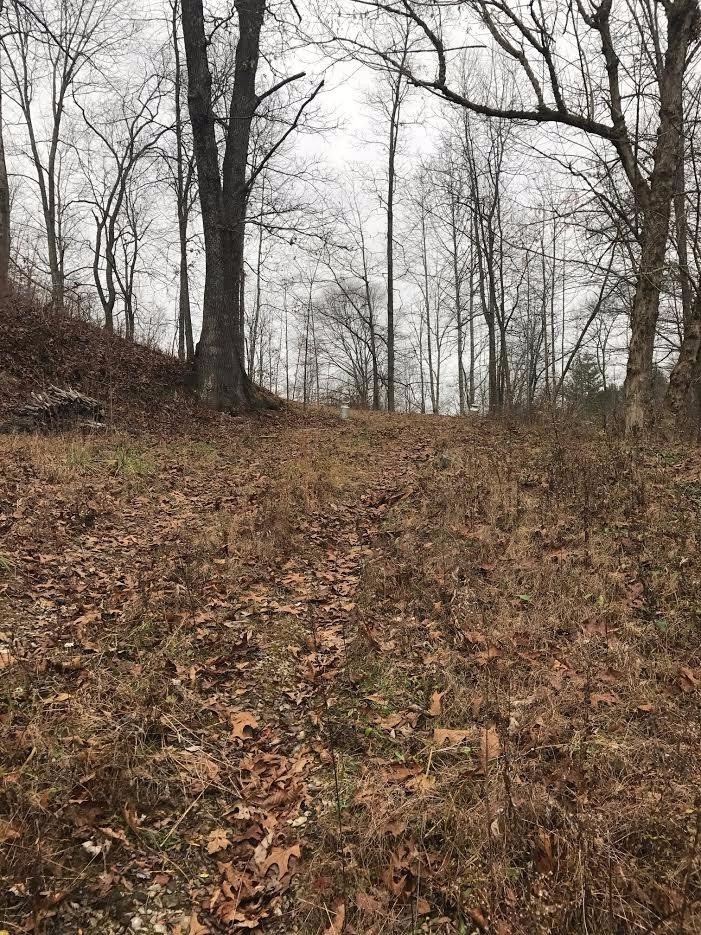 1 Red Road McKee, KY 40447 - Photo 9 of 10 Photo 9