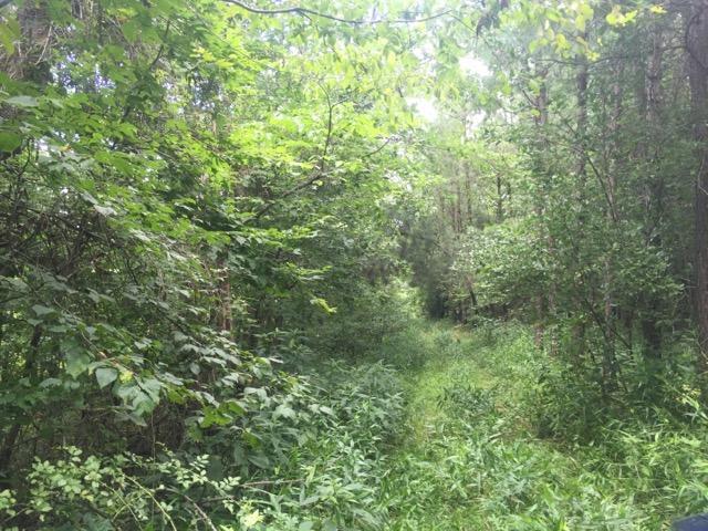 0 Castor Cemetery Road Albany, OH 45710 - Photo 11 of 18