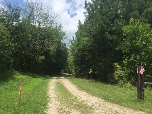 0 Castor Cemetery Road Albany, OH 45710 - Photo 17 of 18
