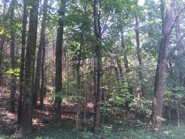 0 Castor Cemetery Road Albany, OH 45710 - Photo 18 of 18
