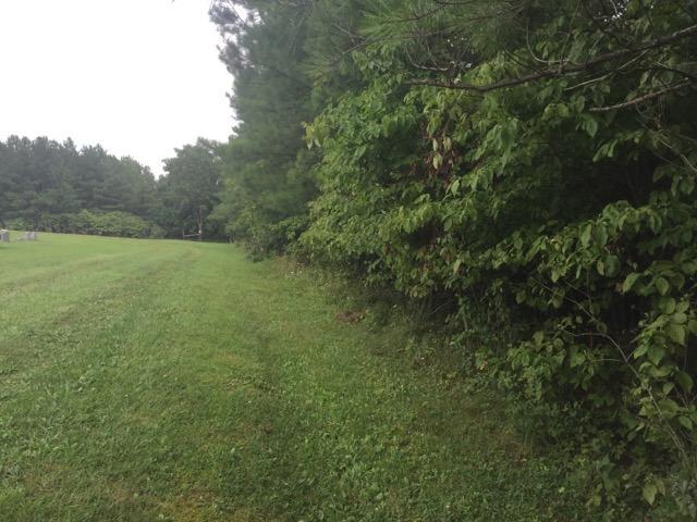 0 Castor Cemetery Road Albany, OH 45710 - Photo 5 of 18