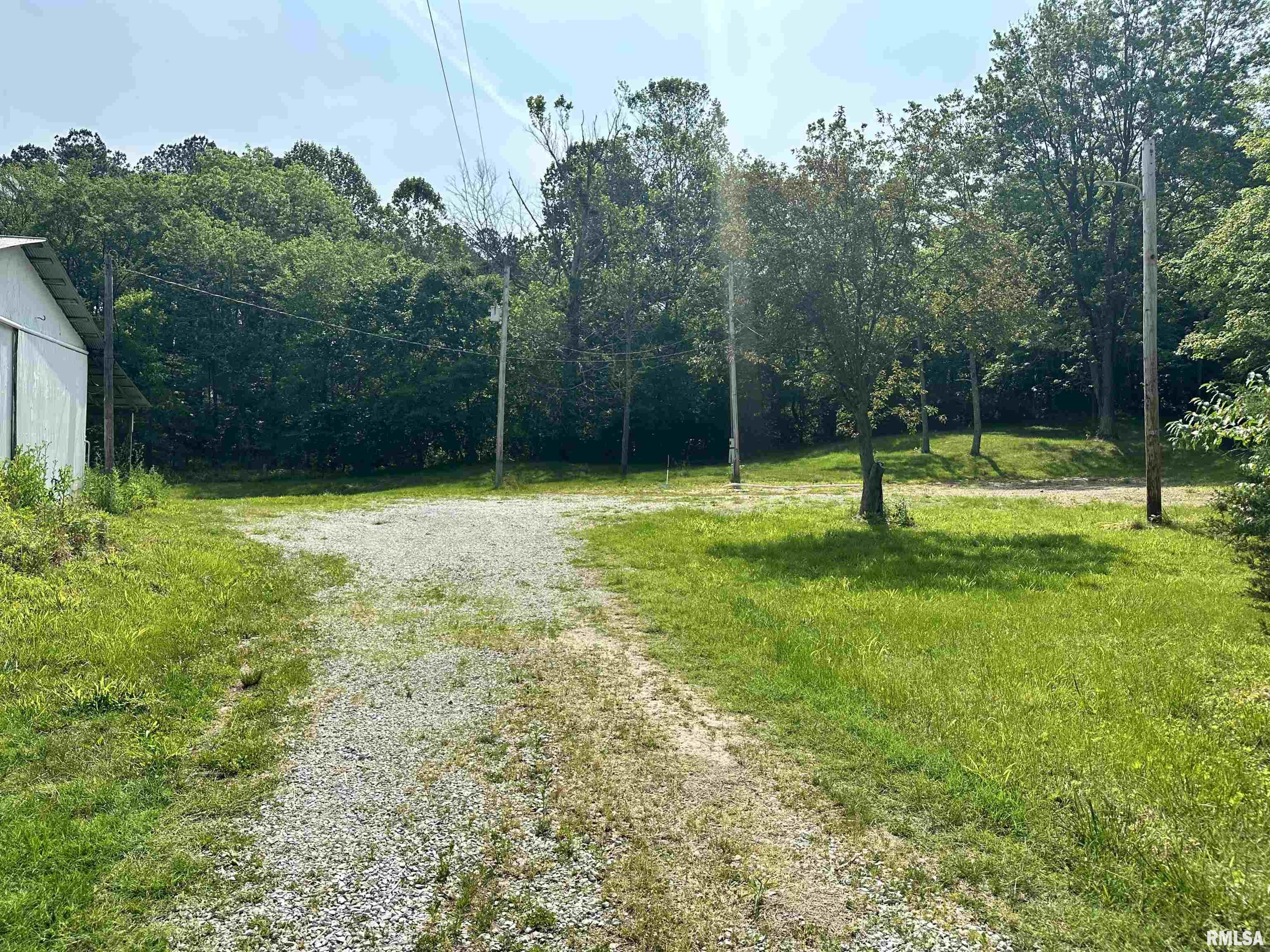 310 Blueberry Hill Road Cobden, IL 62920 - Photo 9 of 11 Gallery Image 9