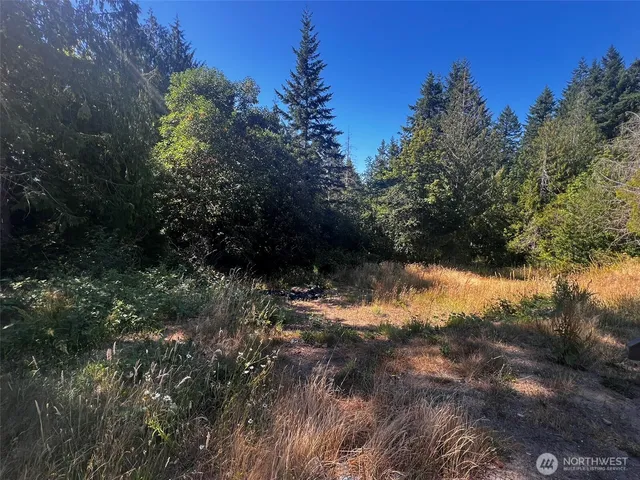 a view of a yard with a tree
