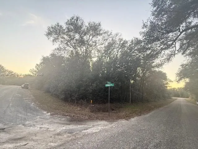 a view of a yard with a tree