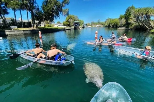 a view of a lake in a backyard