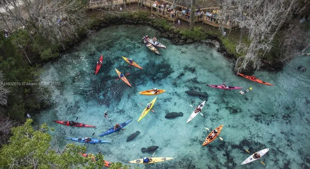 an aerial view of house with outdoor space
