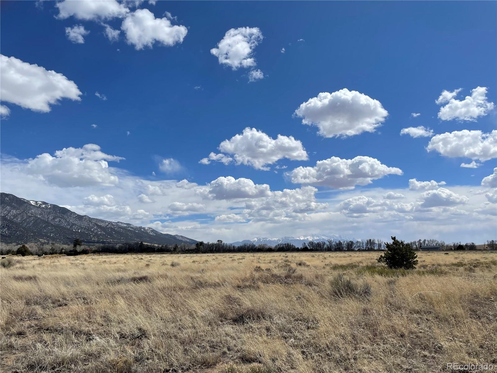 1307 Spanish Creek Road Crestone, CO 81131 - Photo 11 of 13 a view of a yard with a large tree