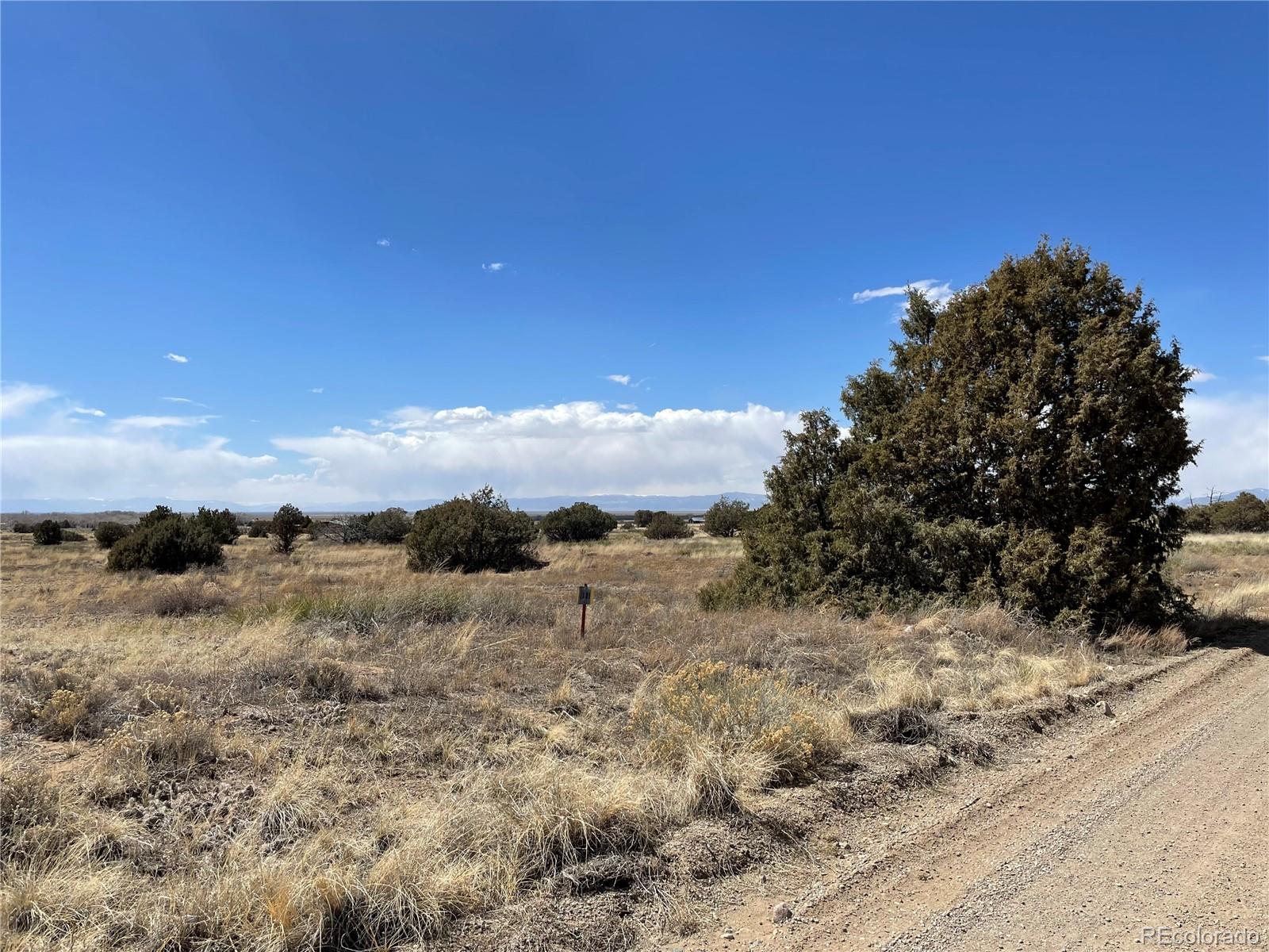 1307 Spanish Creek Road Crestone, CO 81131 - Photo 2 of 13 a view of a dry yard with trees