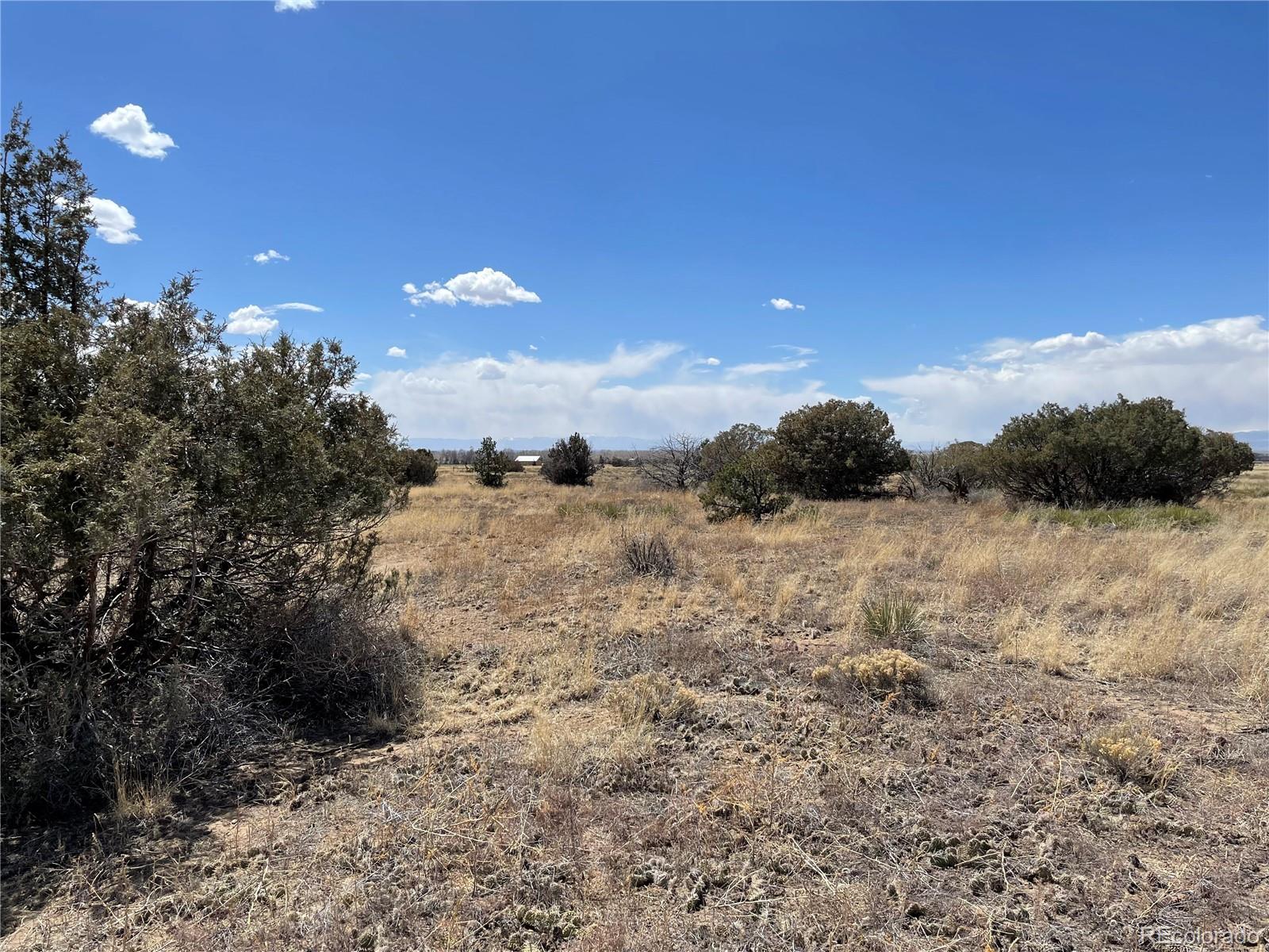 1307 Spanish Creek Road Crestone, CO 81131 - Photo 5 of 13 a view of a dry yard with a tree