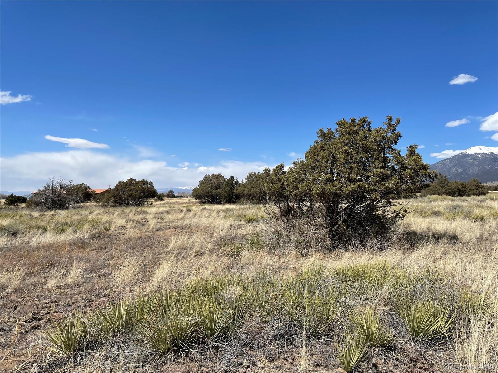 1307 Spanish Creek Road Crestone, CO 81131 - Photo 6 of 13 a view of a yard with a tree