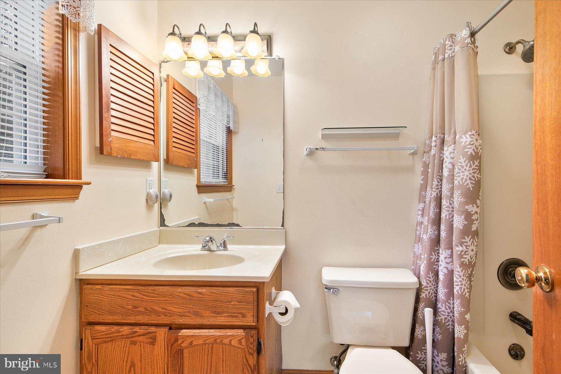 50 King Richard Road Ocean Pines, MD 21811 - Photo 22 of 28 a bathroom with a sink a mirror a toilet and a shower