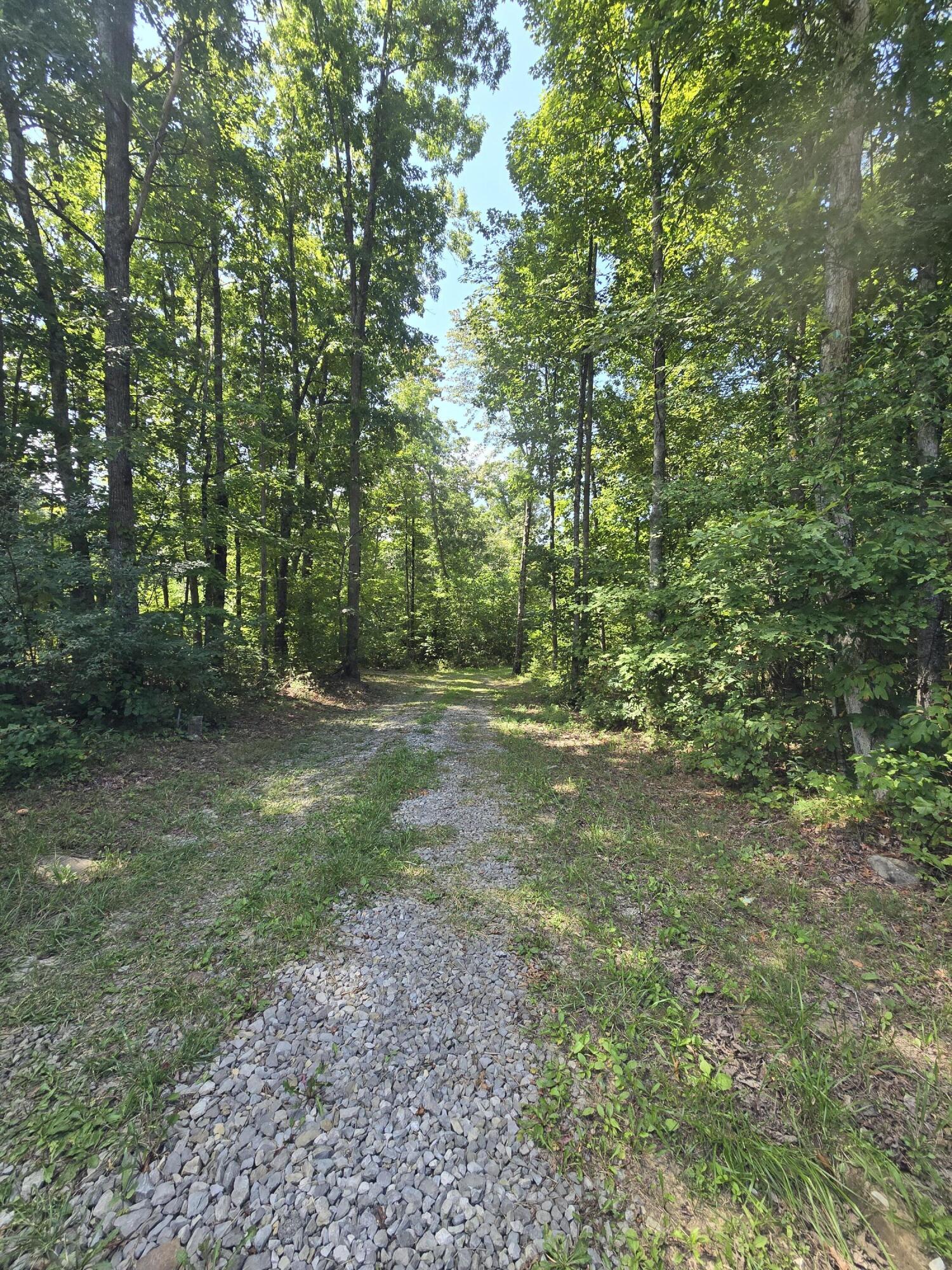 333 Raven Cliff Road Graysville, TN 37338 - Photo 5 of 14 20240809_110817