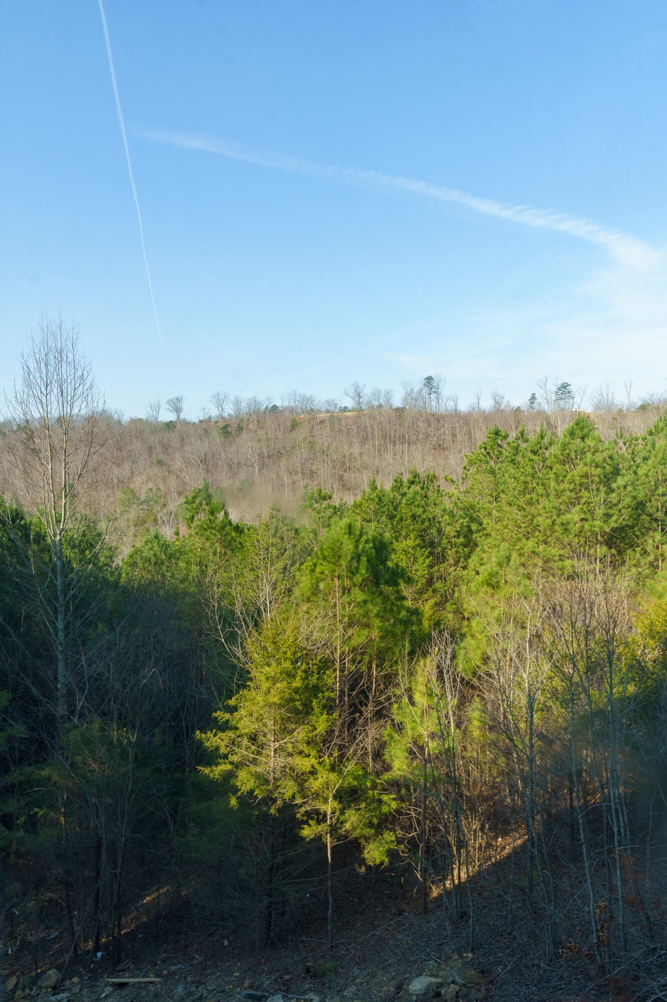 123 Cherokee Ridge Drive Ocoee, TN 37361 - Photo 25 of 38 22 - 123 Cherokee Ridge Dr - Interior