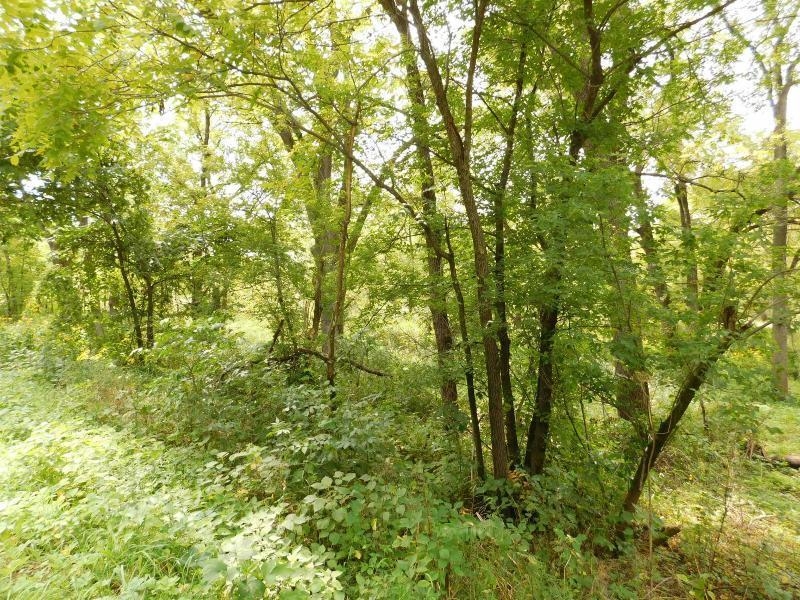 5990 Mill Road Avoca, WI 53506 - Photo 14 of 78 Gallery Image 14
