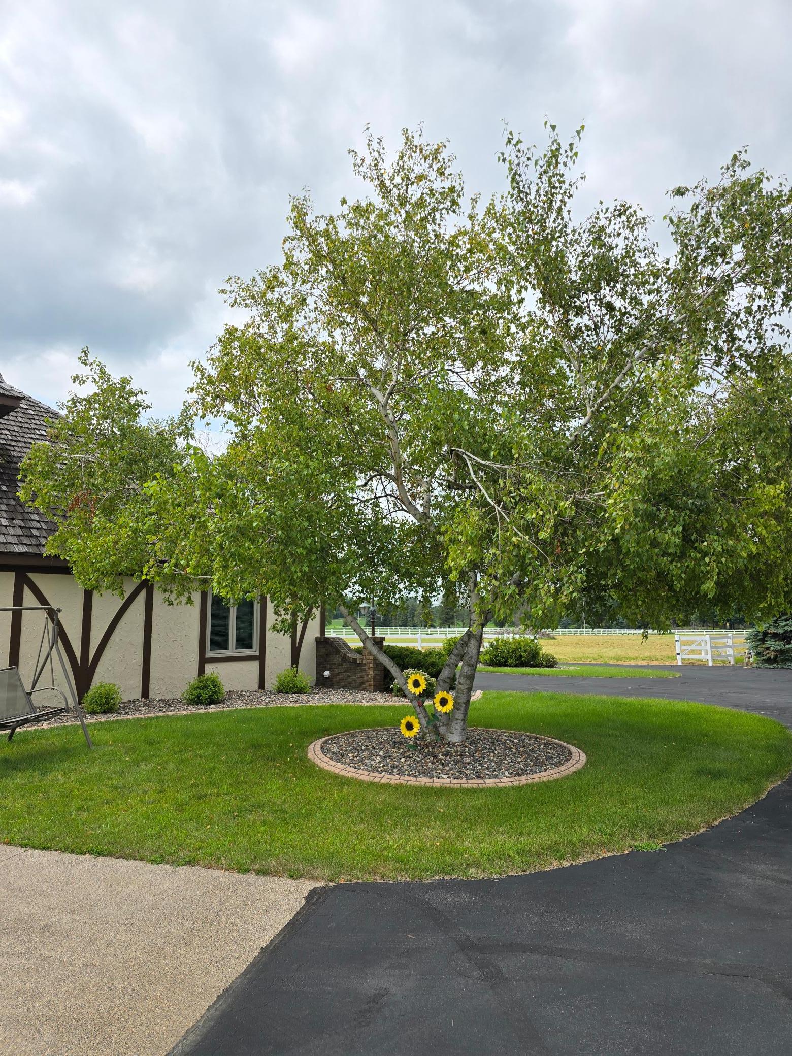 2017 Havana Road Owatonna, MN 55060 - Photo 28 of 85