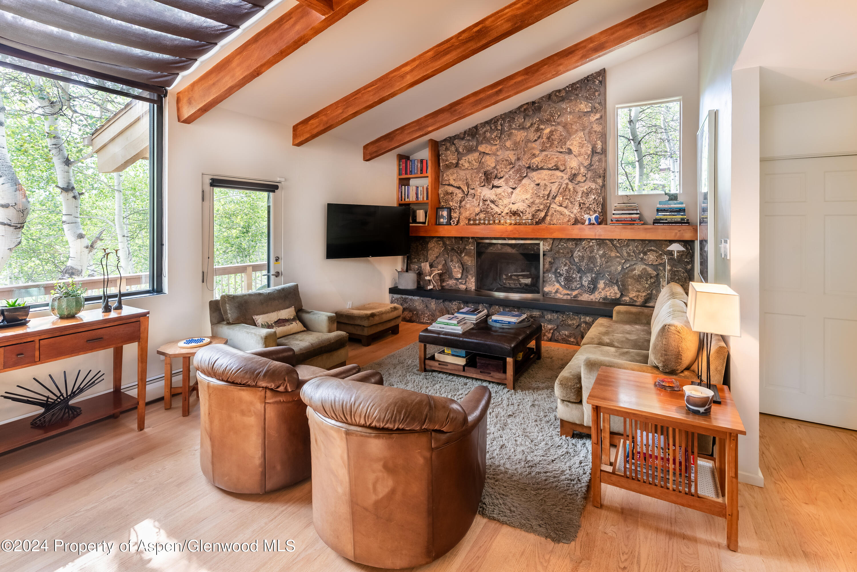 262 Eastwood Road Aspen, CO 81611 - Photo 3 of 13 Living Room