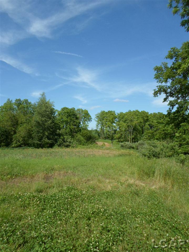 12000 Stephenson Road, Unit PARCEL A Brooklyn, MI 49230 - Photo 45 of 49