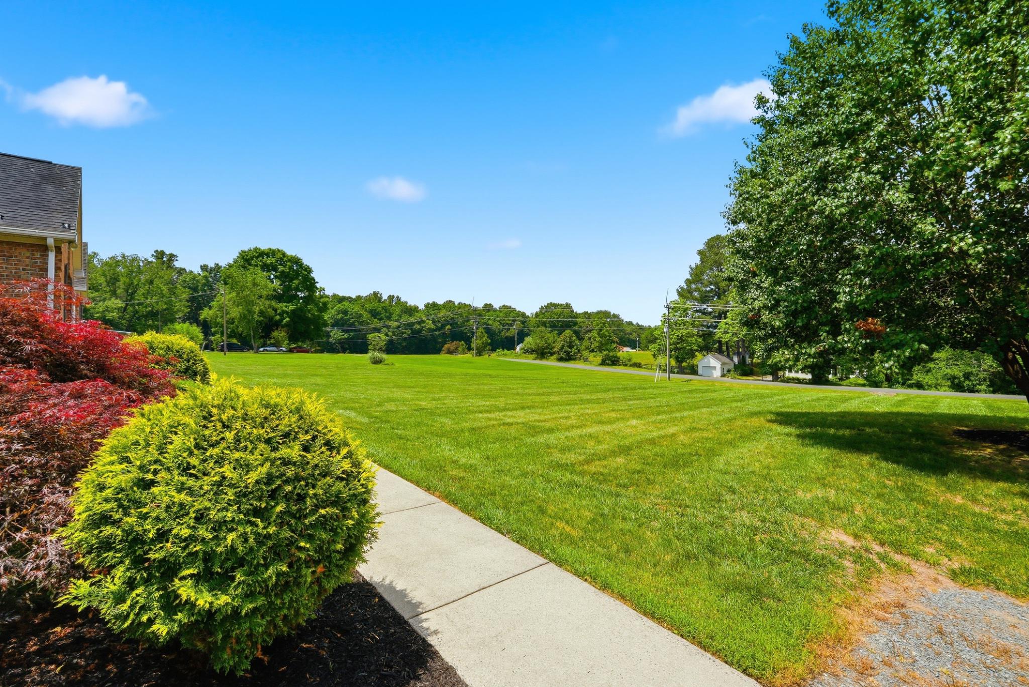 11337 Old Stillhouse Road Boston, VA 22713 - Photo 5 of 58 a view of a garden with plants