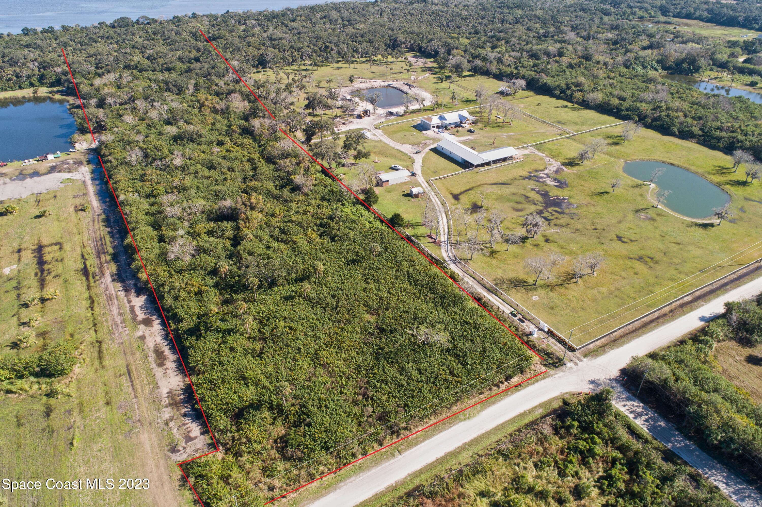 3495 Hammock Road Mims, FL 32754 - Photo 5 of 20 a view of a backyard